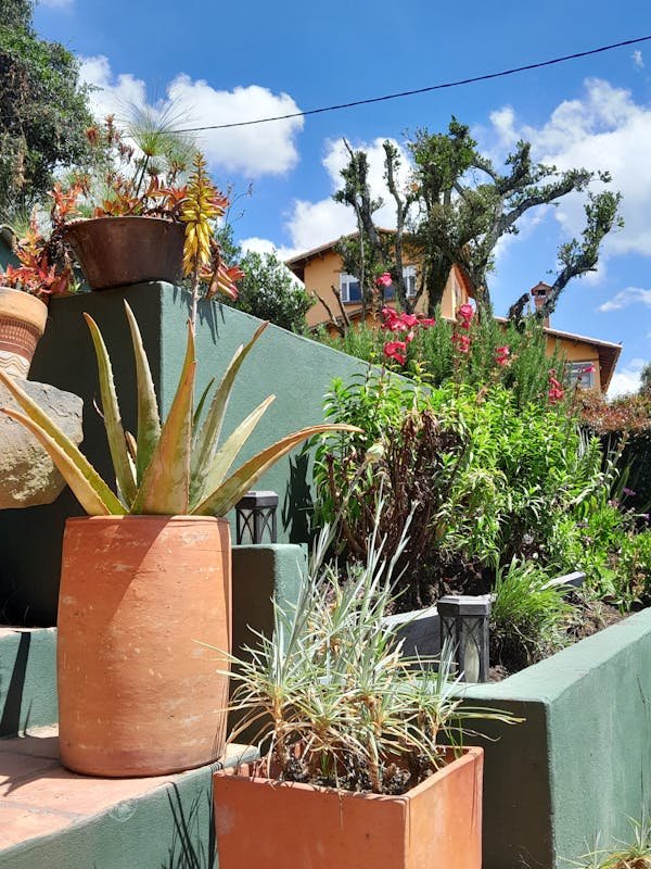 Farmingdale observer: key insights for home and garden care